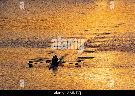 Sculling at Sunset Stock Photo