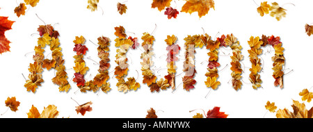 Autumn promtional sale offer sign made up out of autumnal leaves against a white background Stock Photo