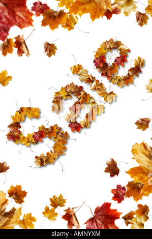 Autumn promtional sale offer sign made up out of autumnal leaves against a white background Stock Photo