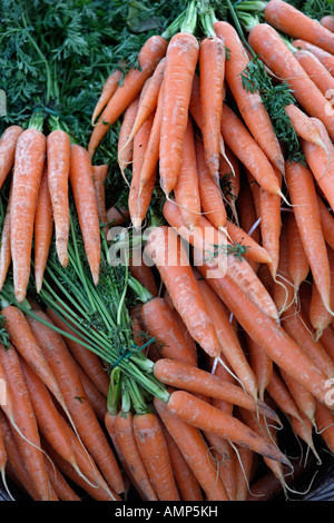 Bunched Carrots Stock Photo