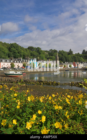 Multicoloured houses in the harbour at Tobermory Balamory Mull Inner Hebrides Scotland United Kingdom gb eu europe Stock Photo