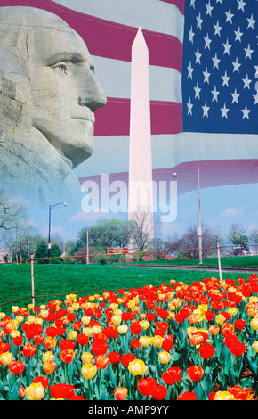 Composite image of Washington D.C. and Monument Valley, AZ Stock Photo ...