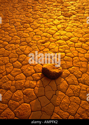 Salt Flats, Wood Buffalo National Park, Alberta, Canada Stock Photo