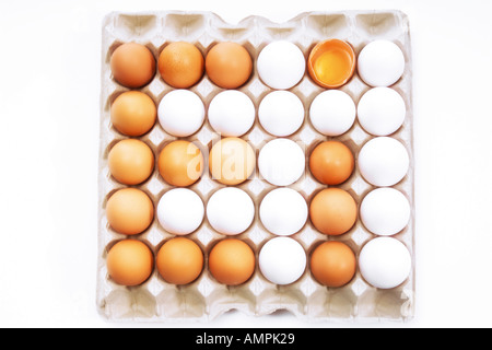 Eggs in carton Stock Photo