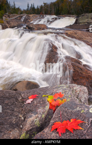 Fall leaves beside a waterfall along the Sand River, Pinguisibi Trail, in Lake Superior Provincial Park,Ontario, Canada. Stock Photo