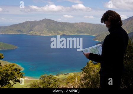 Overlooking Melville Cove, Queen Charlotte Sound, Marlborough, South Island, New Zealand. Model Released. Stock Photo