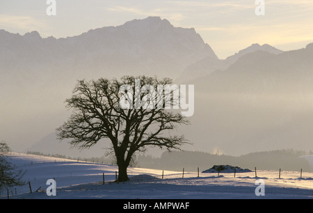 Germany, Bavaria, Murnauer country with Zugspitze highest mountain in Germany Stock Photo