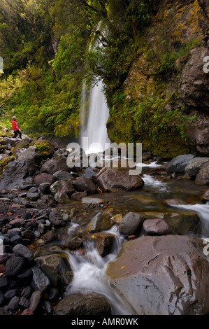 Kapuni stream hi-res stock photography and images - Alamy