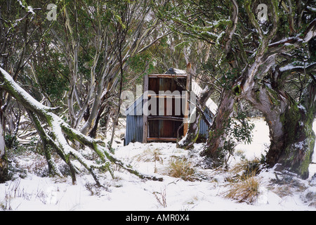 Hut and Snow Gum Trees in Winter, Mount Hotham, Victoria, Australia Stock Photo