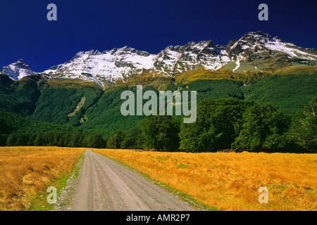 Country Road and Mount Earnslaw, Dart Valley, New Zealand Stock Photo