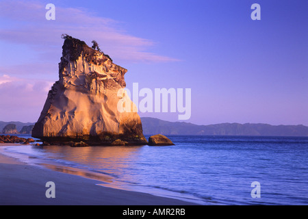 Te Hoho Rock, Cathedral Cove, Coromandel Peninsula, New Zealand Stock Photo