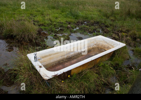 An old bathtub filled with water in a field on the Isle of Skye Scotland UK. Bathtubs are used as water troughs for livestock. Stock Photo