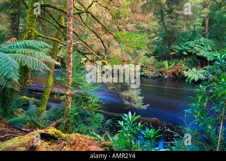 Styx River, Maydena, Tasmania, Australia Stock Photo