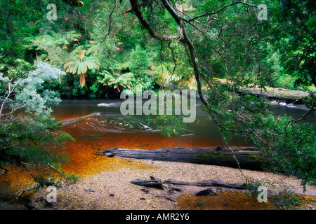 Styx River, Maydena, Tasmania, Australia Stock Photo