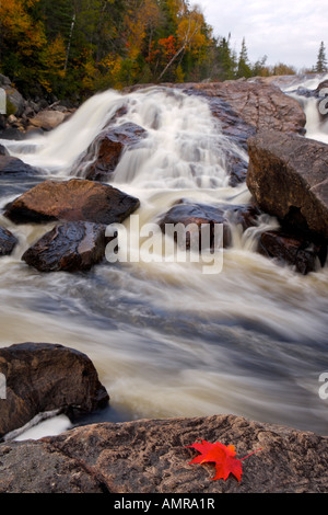 Fall leaves beside a waterfall along the Sand River, Pinguisibi Trail, in Lake Superior Provincial Park,Ontario, Canada. Stock Photo