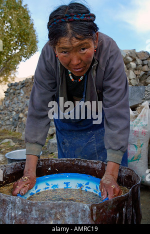 Woman washing barley in water drum Tibetan village Stock Photo