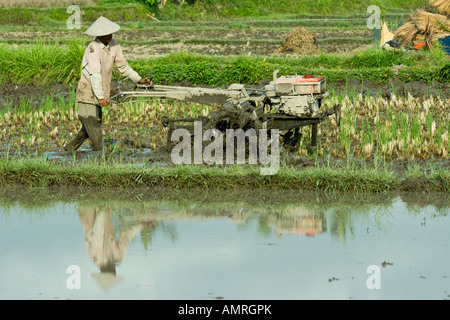 Farmer Using a Small Tractor to Plow Rice Fields, Ubud, Bali Indonesia Stock Photo