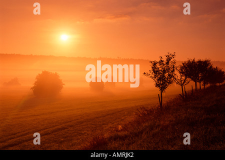 Sunrise, Franconia, Bavaria, Germany Stock Photo