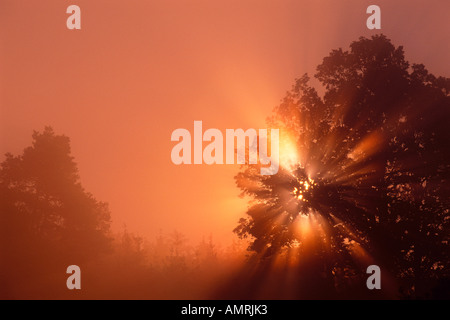 Sunrise, Franconia, Bavaria, Germany Stock Photo