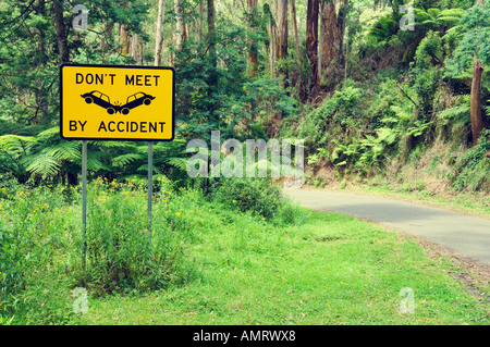 Road Through Tarra Bulga National Park, Victoria, Australia Stock Photo