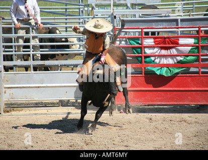 Bull riding and the Mexican rodeo Stock Photo - Alamy