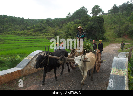 Myanmar Burma Shan State Thit Twin Bridge built by a local NGO loaded bull cart and local people crossing the new bridge Stock Photo