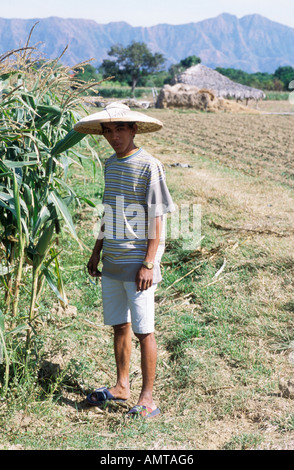 Philippines Filipino Farmer In Corn Field Stock Photo