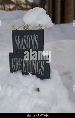 Canadian Winter Winter Ontario Northern Ontario snowstorm storm snow country country rural white Christmas white Christmas tree Stock Photo