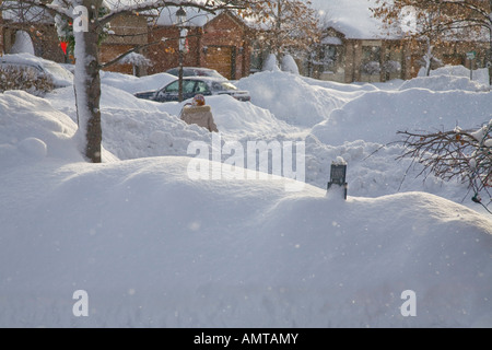 Canadian Winter Winter Ontario Northern Ontario snowstorm storm snow country country rural white Christmas white Christmas tree Stock Photo