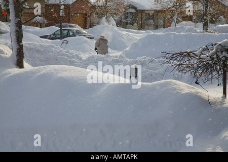 Canadian Winter Winter Ontario Northern Ontario snowstorm storm snow country country rural white Christmas white Christmas tree Stock Photo