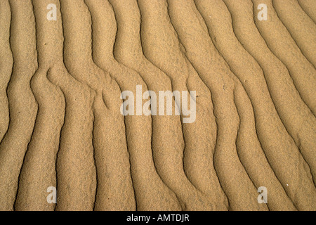 Sand sculpted by wind Stock Photo
