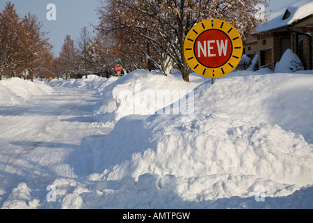 Canadian Winter Winter Ontario Northern Ontario snowstorm storm snow country country rural white Christmas white Christmas tree Stock Photo