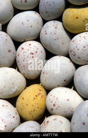 Sweet Easter Eggs Stock Photo