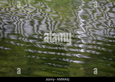 Reflections in the River Ancholme Stock Photo