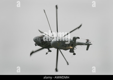 Royal Navy Lynx Helicopters Stock Photo
