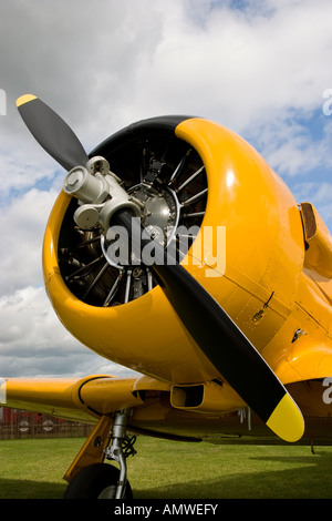 1953 North American T-6 Harvard on static display at Goodwood Revival, Sussex, UK. Stock Photo