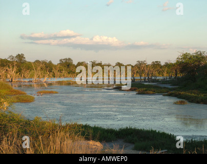 Evening at typical salty marshes Gran Chaco Paraguay Stock