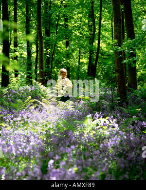 Portglenone Forest Park Co Antrim Northern Ireland Stock Photo