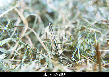 Close-up of needle in haystack Stock Photo