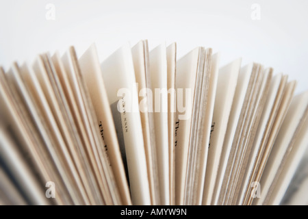 Open pages of a book Stock Photo