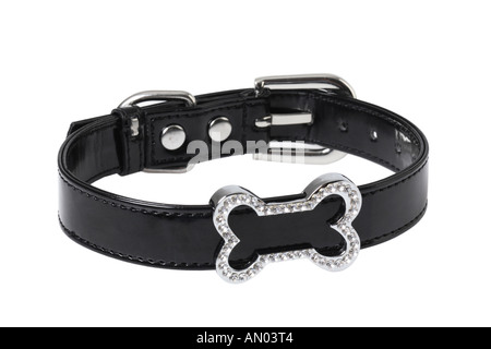 Dog Collar with Diamond Studded Bone Stock Photo