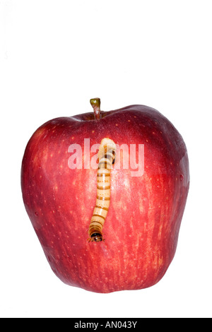 worm is eating apple isolated on white Stock Photo - Alamy