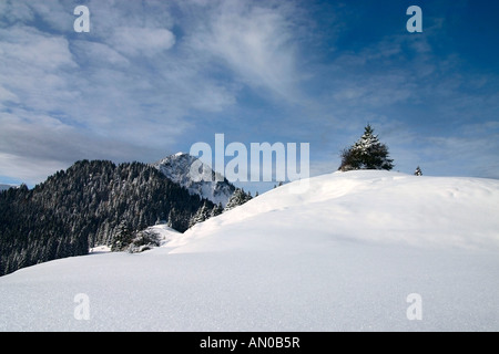 Ausblick auf winterliche Landschaft, verschneiter Gipfel des Fockensteins | view onto winterly landscape, snowy peak Falkenstein Stock Photo