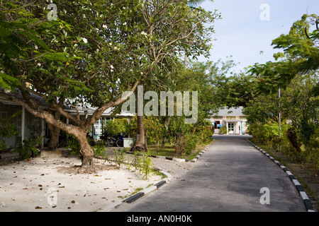 Maldives Addu Atoll Gan Island garden of Government Rest House Stock Photo