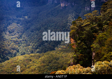 Jamison Valley from Sublime Point Lookout Leura Blue Mountains New South Wales Australia Stock Photo