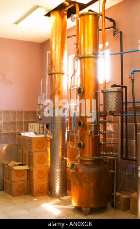 Distillation machine still with steel and copper boiler and column to make grape juice spirit. Kantina Miqesia or Medaur winery Stock Photo