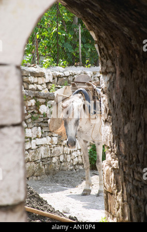 View through an arched portico of a horse saddled with saddle bags and carrying a heavy load. Berat upper citadel old walled city. Albania, Balkan, Europe. Stock Photo