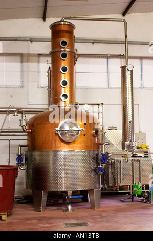 A distillation machine still in stainless steel and copper with narrow column. Hercegovina Produkt winery, Citluk, near Mostar. Stock Photo