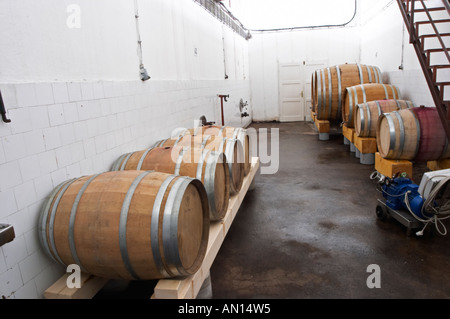 Oak barrels of varying size inside the winery. Vinarija Citluk winery in Citluk near Mostar, part of Hercegovina Vino, Mostar. Federation Bosne i Hercegovine. Bosnia Herzegovina, Europe. Stock Photo