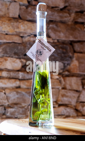 Rakija grappa type spirit flavoured with herbs backlit, Travarica ...